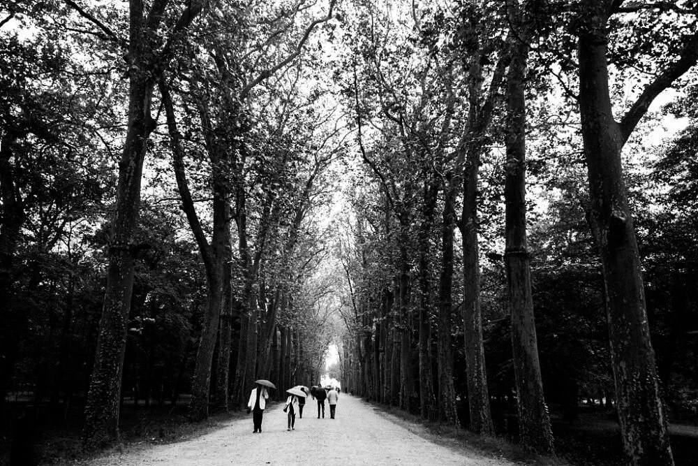 20160612 10-49-21 - Tours, Loire Valley.jpg