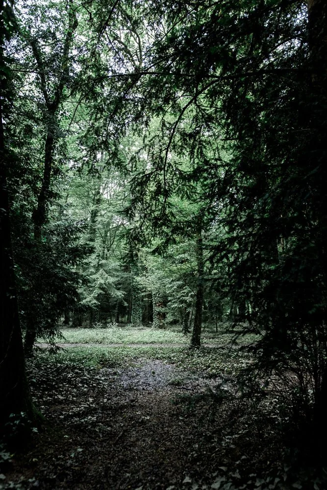 20160612 12-45-30 - Tours, Loire Valley.jpg
