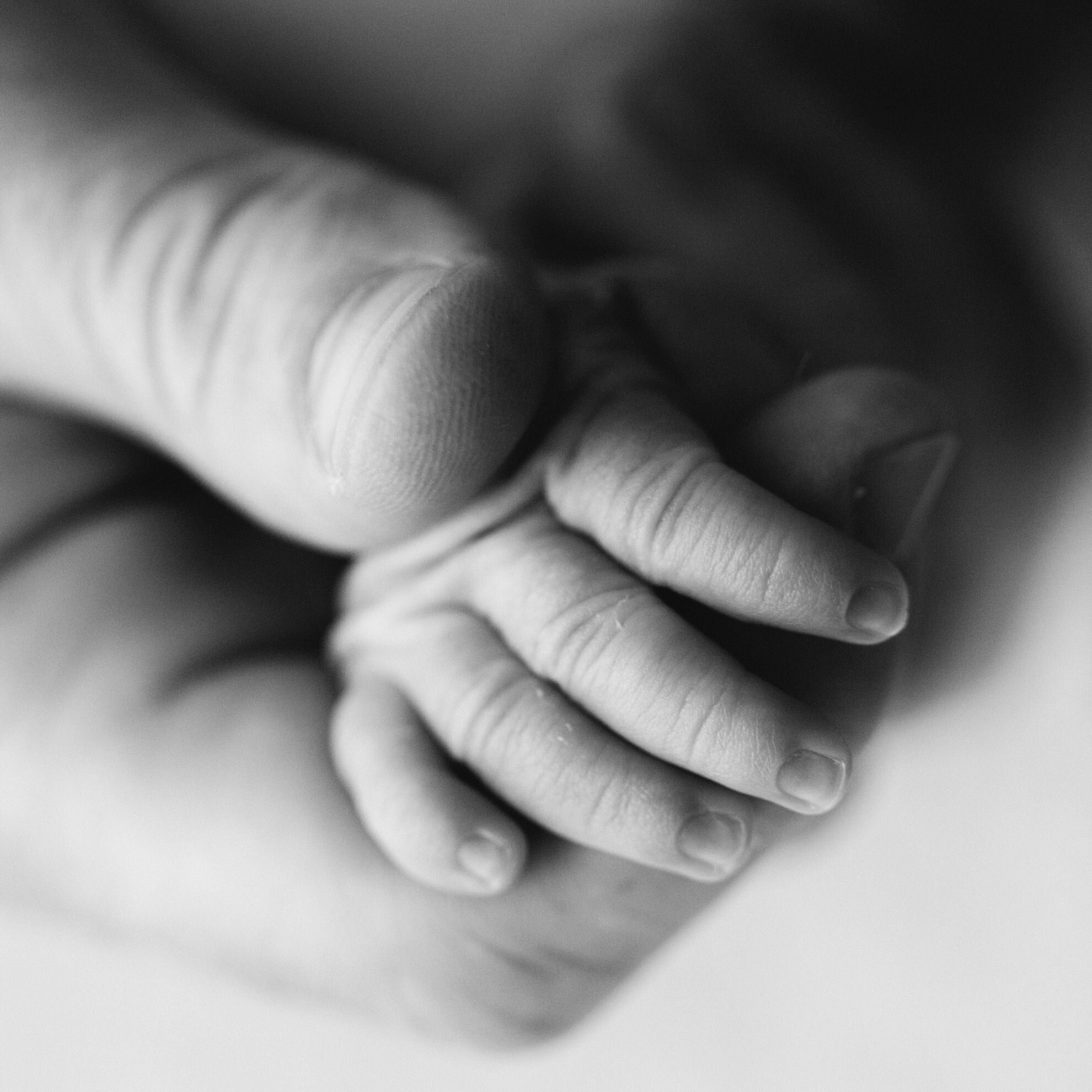 Point Cook Natural Newborn Photographer_0278.jpg