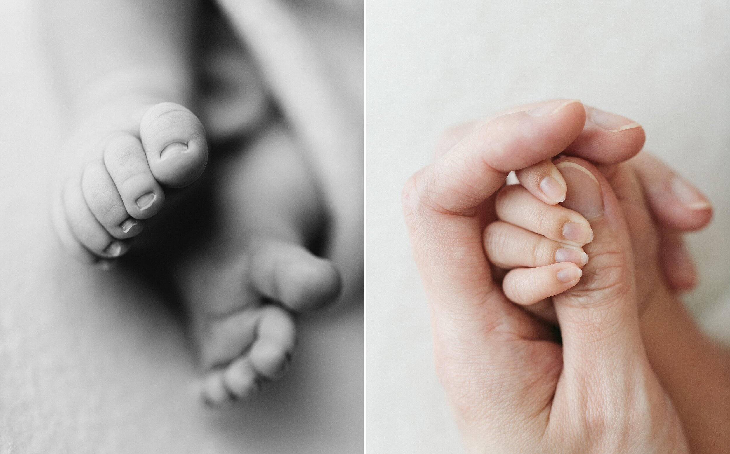 Melbourne Newborn Photographer_0169.jpg