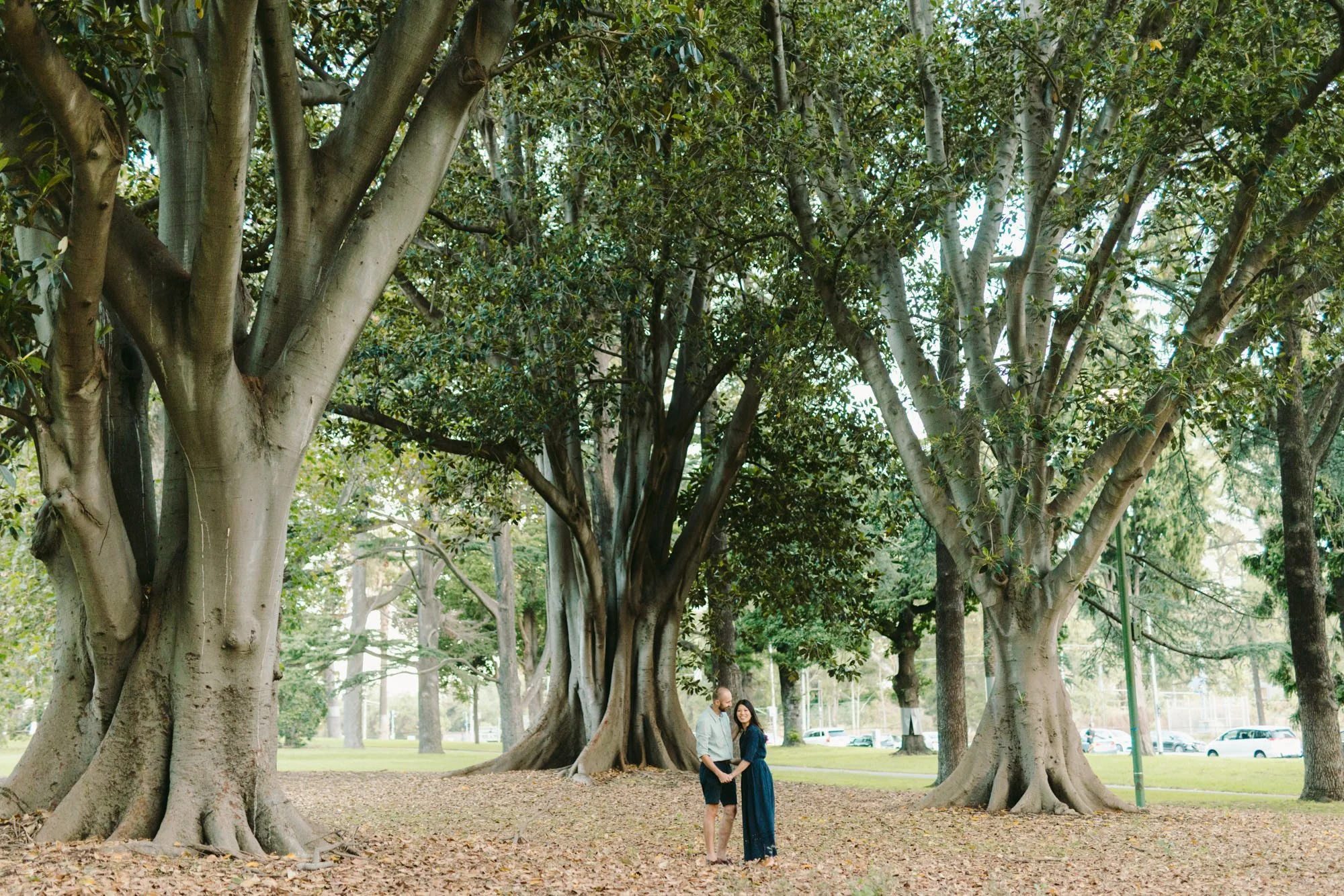 Fitzroy Gardens Family Maternity Photographer0032.jpeg
