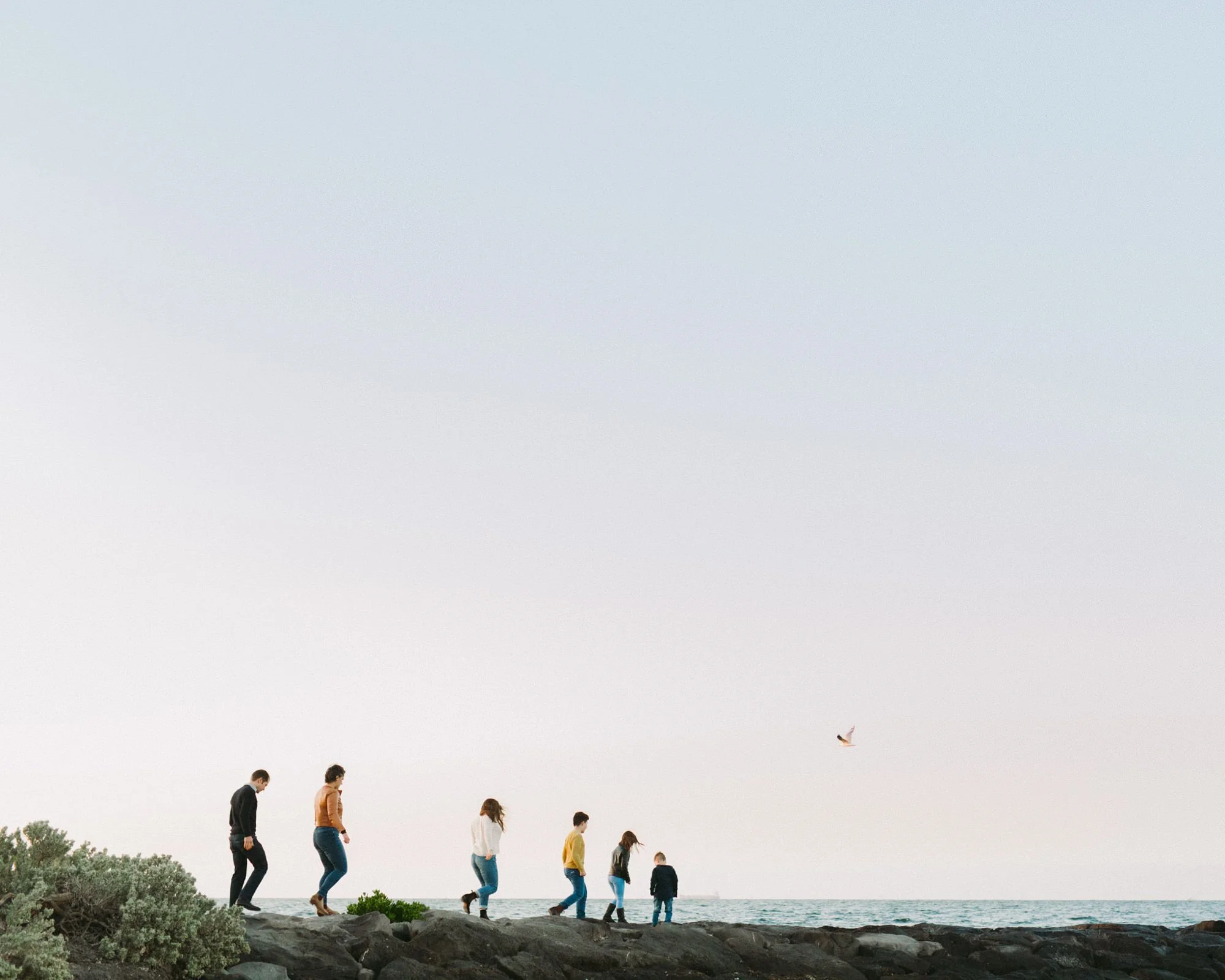 Williamstown Family Maternity Photographer0122.jpeg