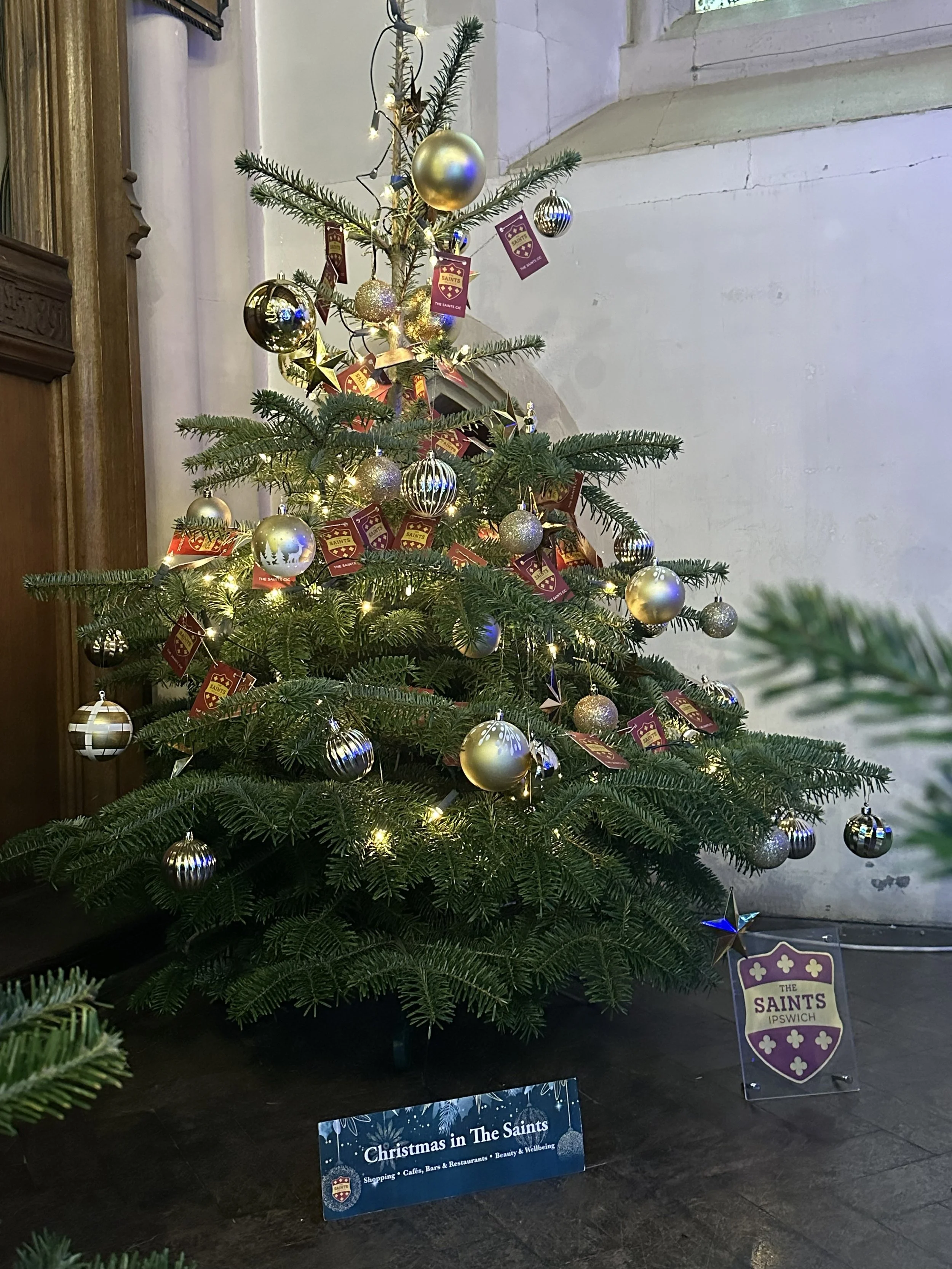 IMG_4661 - Copy.jpeg