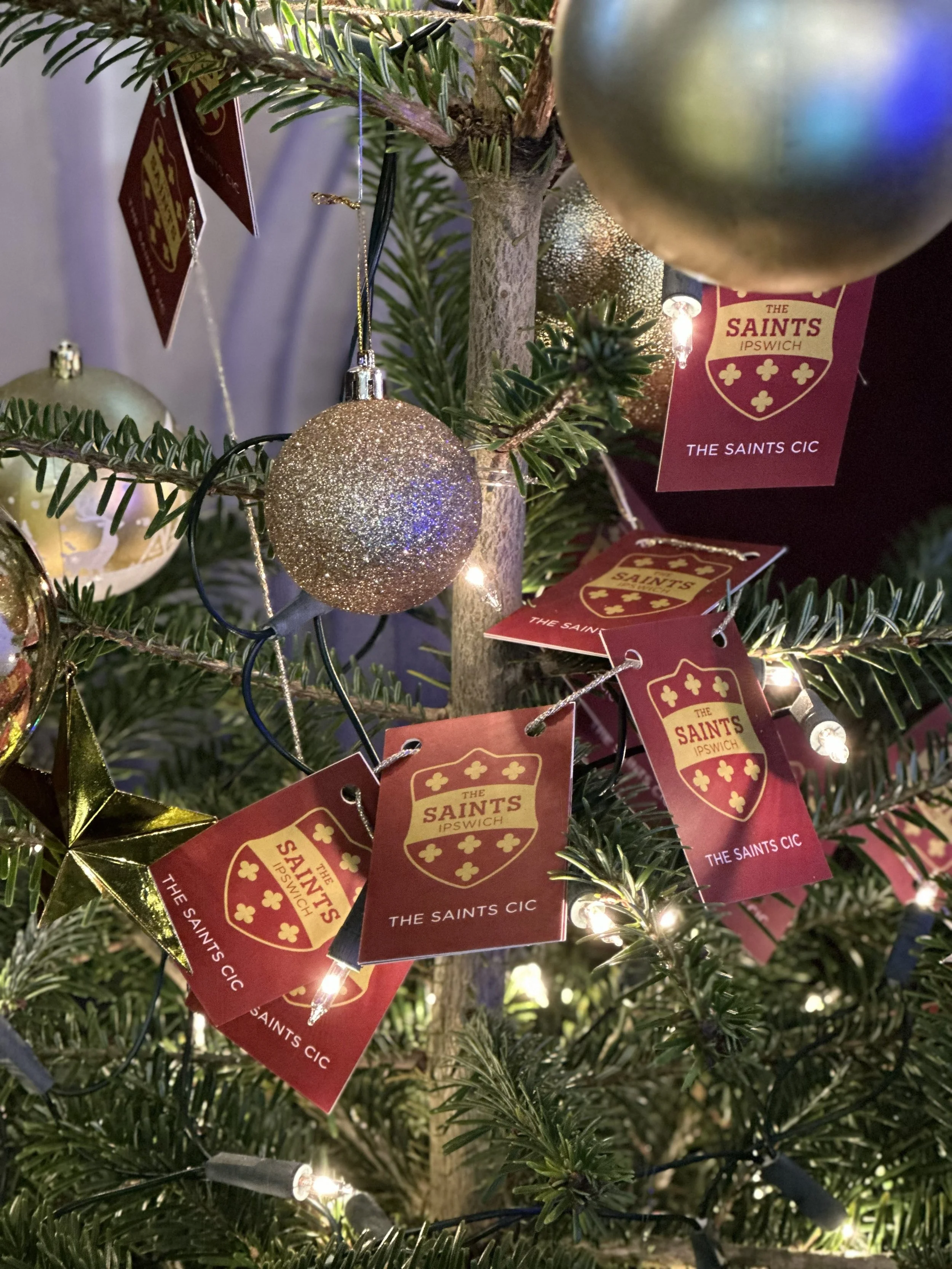 IMG_4662 - Copy.jpeg