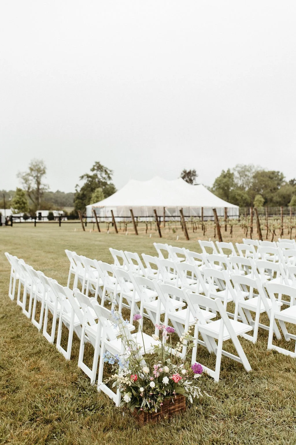 Jacqueline-Waters-Photography-Merrie-Mill-Vineyards-Charlottesville-Virginia-Spring-Wedding-RI-Ceremony-(18).jpg