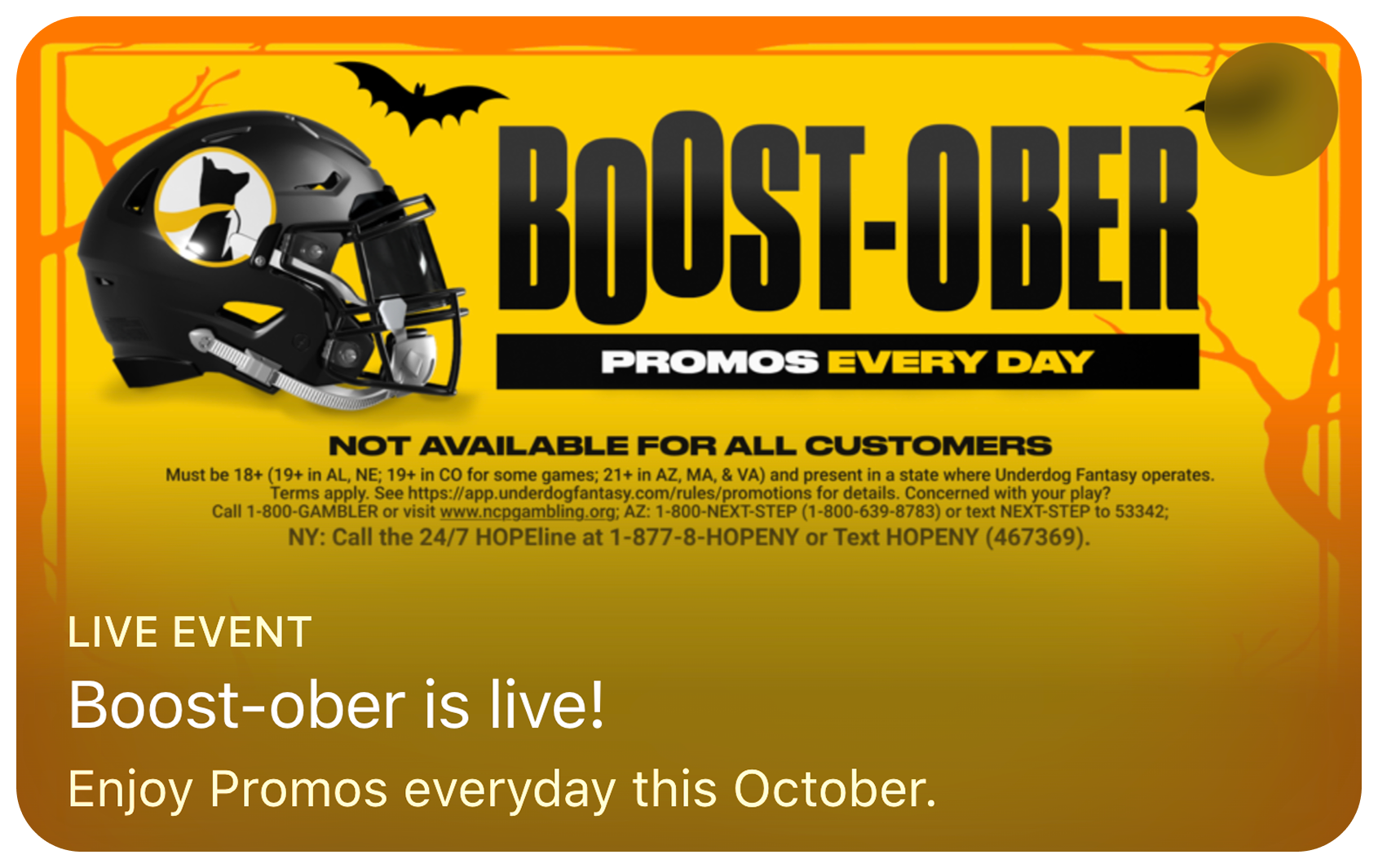 Screenshot 2026-03-26 at 23.19.37 1.png