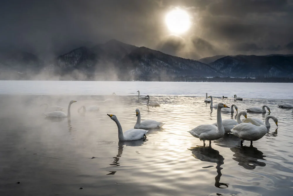 Alain Ernoult - Hokkaido