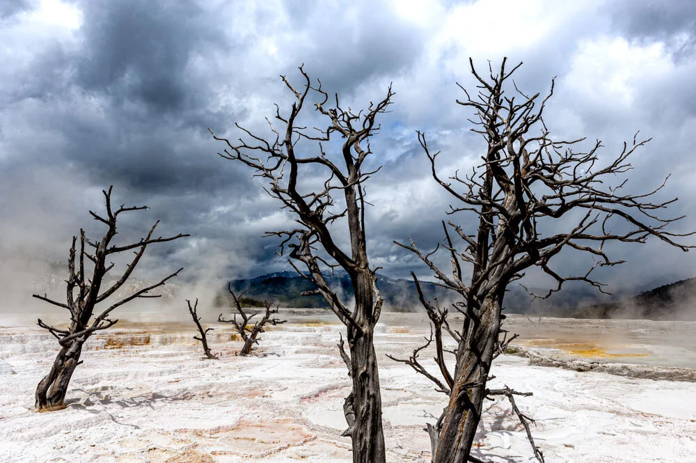 Alain Ernoult - Yellowstone