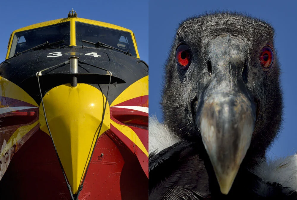 Alain Ernoult - Face to face