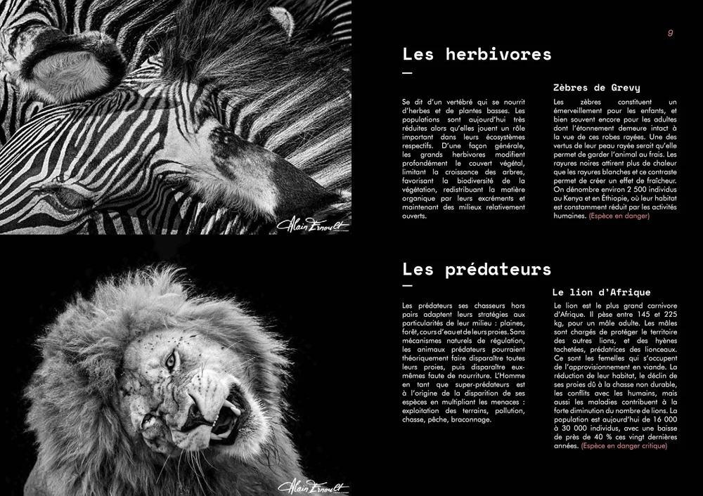 PIERRESVIVES_Programme_N.4_170x240_première_version_Page_4.jpg