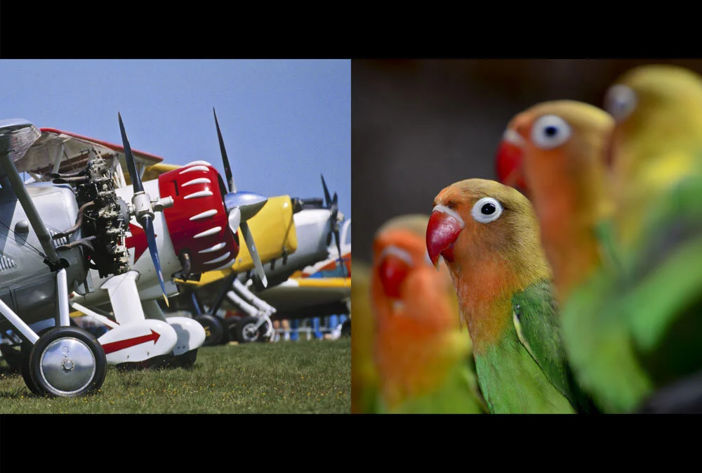 Alain Ernoult - Un alignement inséparable