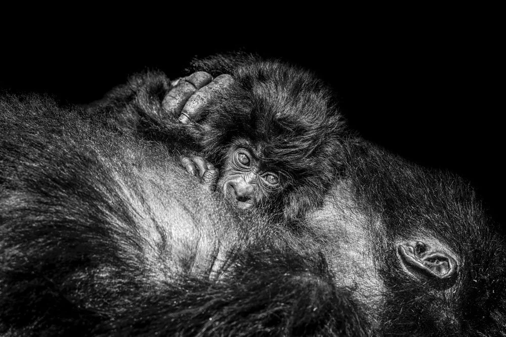 Alain Ernoult - Love