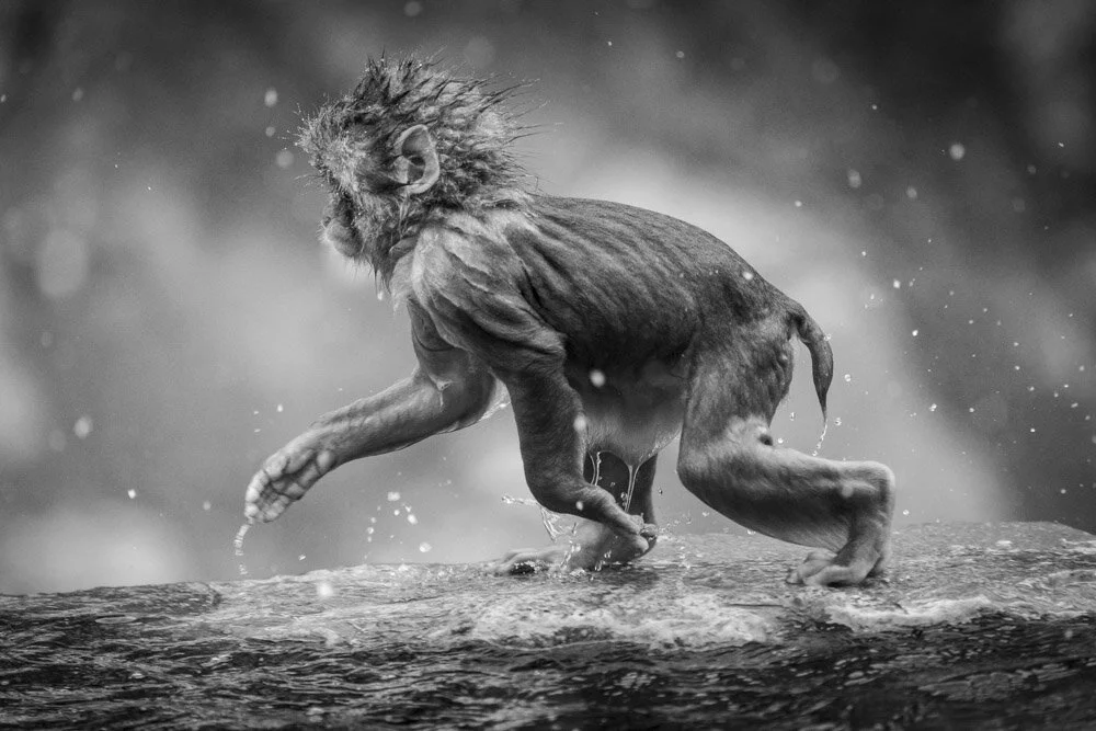 Alain Ernoult - Playful