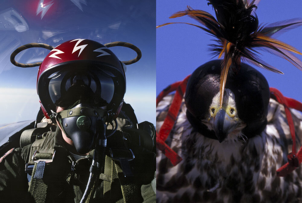 Alain Ernoult - Le pilote et le Faucon