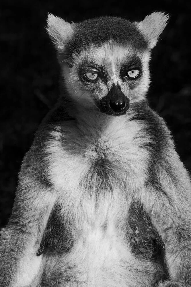 Alain Ernoult - Heat