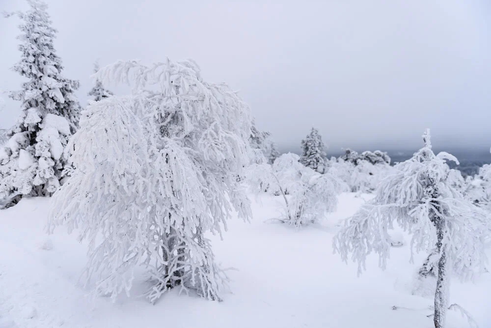 Alain Ernoult - Cercle polaire