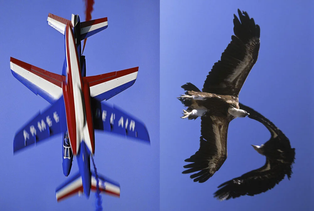 Alain Ernoult - Rencontre