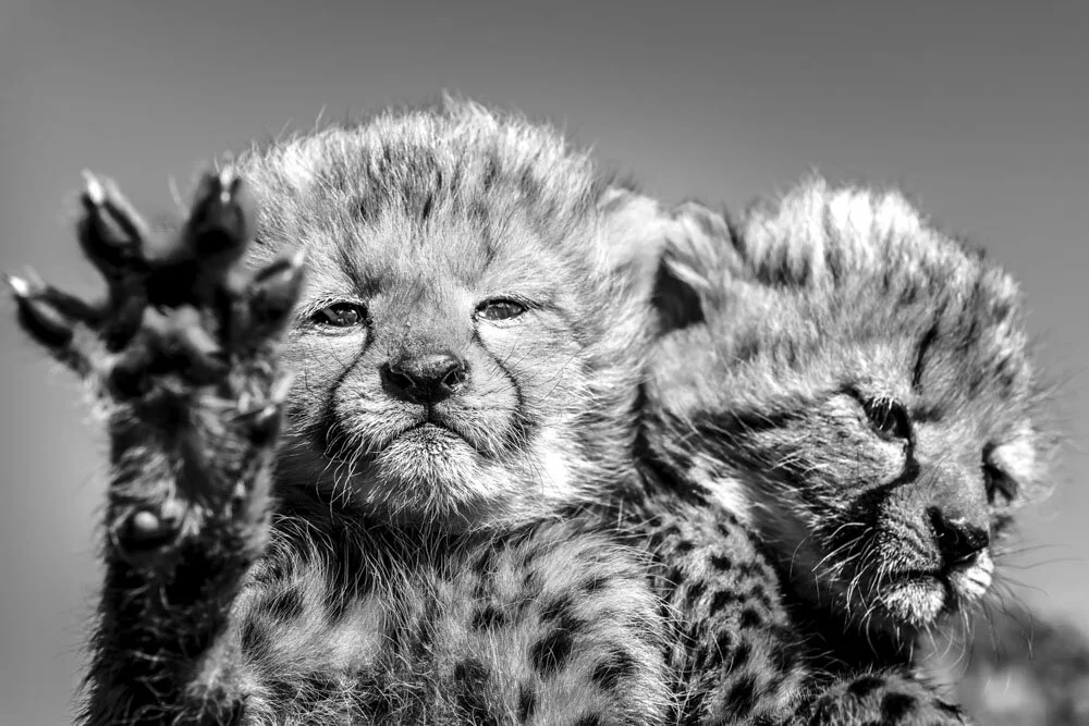 Alain Ernoult - Touch