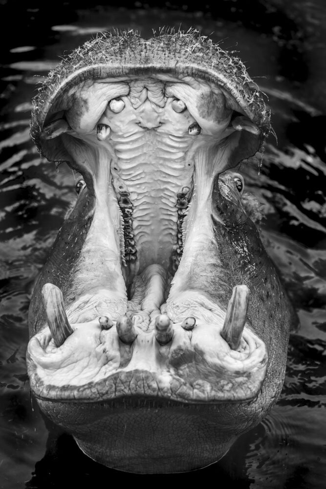 Alain Ernoult - Strength