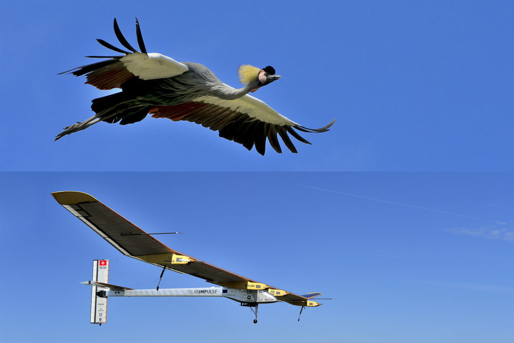 Alain Ernoult - Ailes deployées