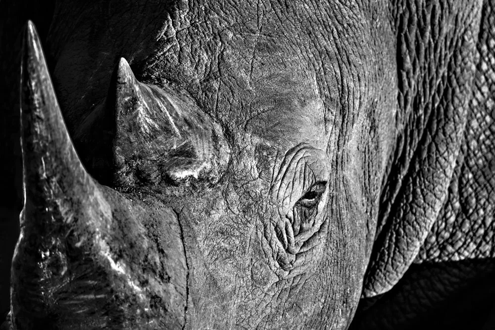 Alain Ernoult - Connexion