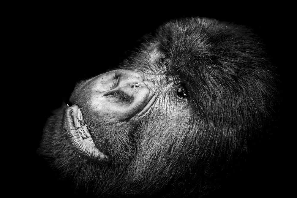 Alain Ernoult - Skepticism