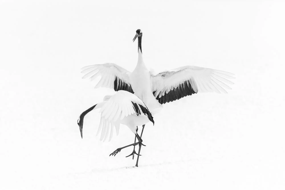 Alain Ernoult - Flirt