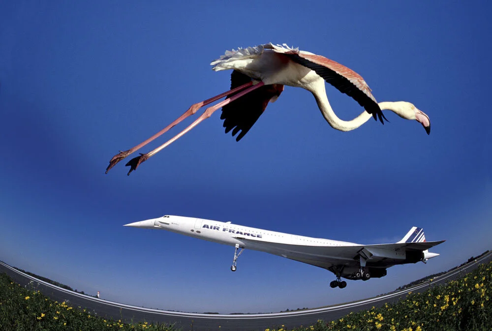 Alain Ernoult - L'Atterissage