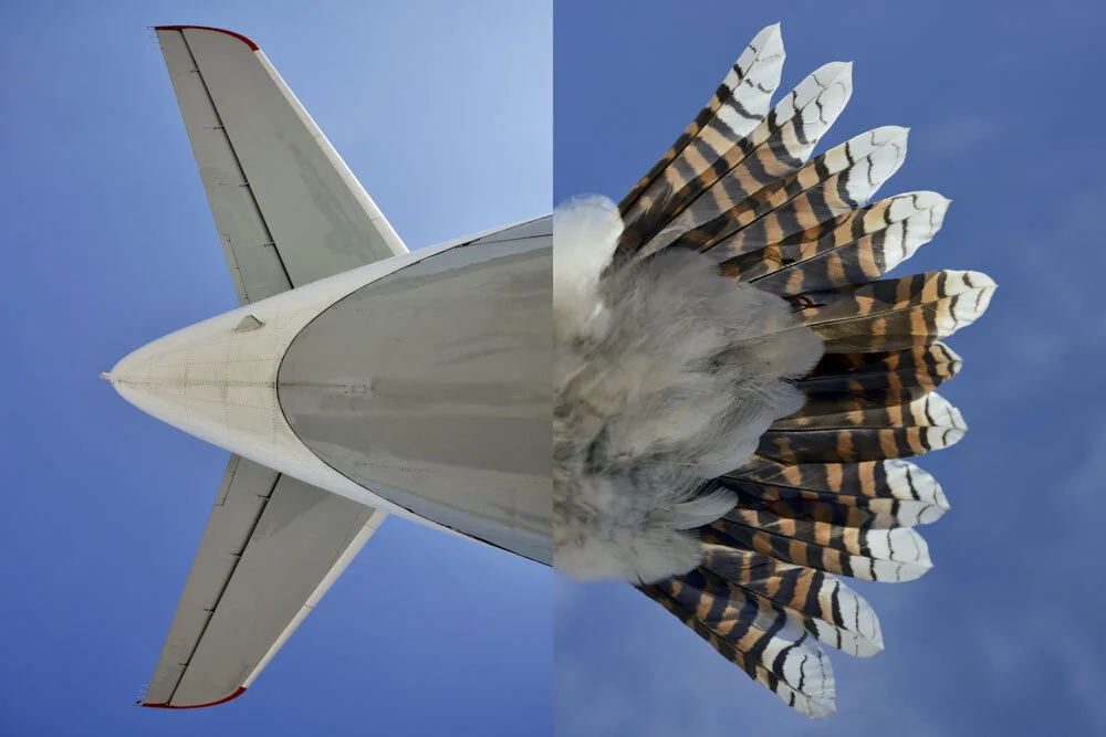 Alain Ernoult - A la dérive