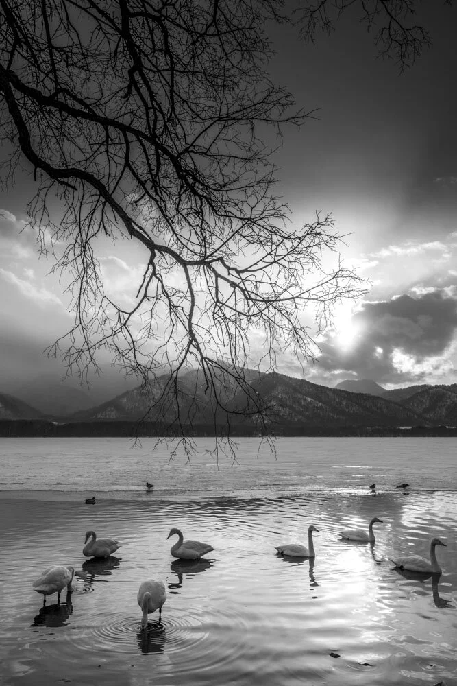 Alain Ernoult - Soul peace