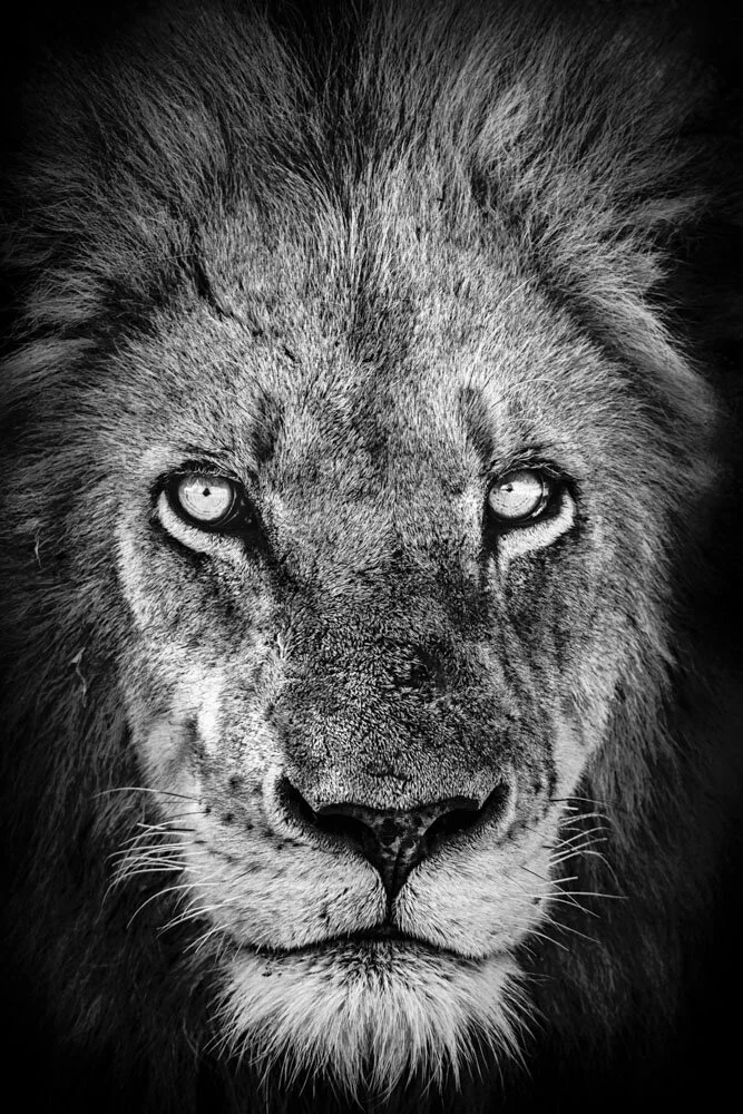 Alain Ernoult - Feel