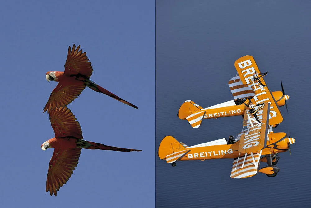 Alain Ernoult - Duo dans le vol