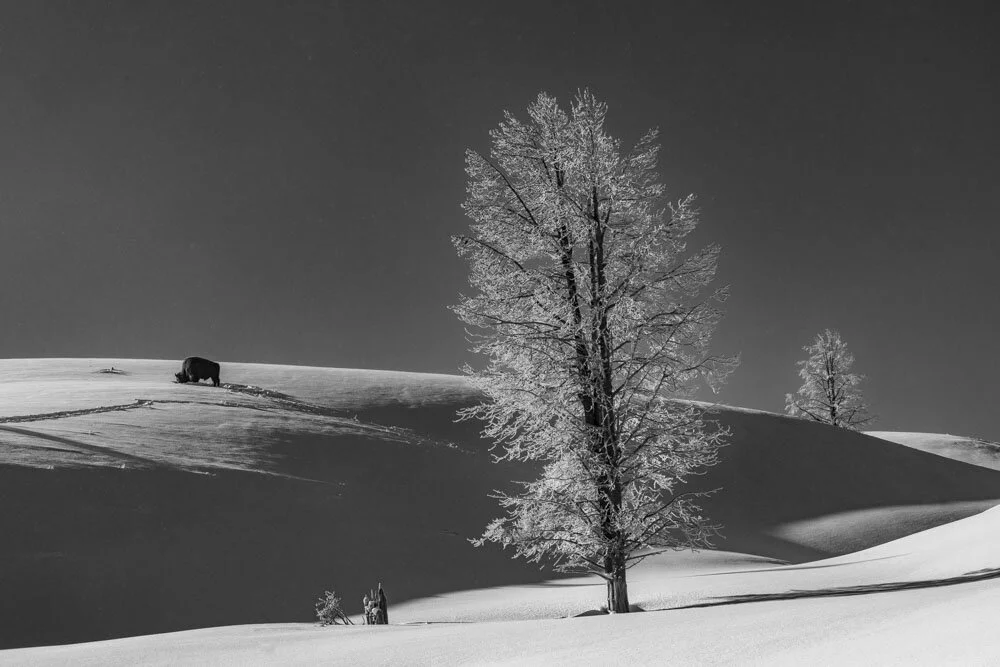 Alain Ernoult - Loneliness