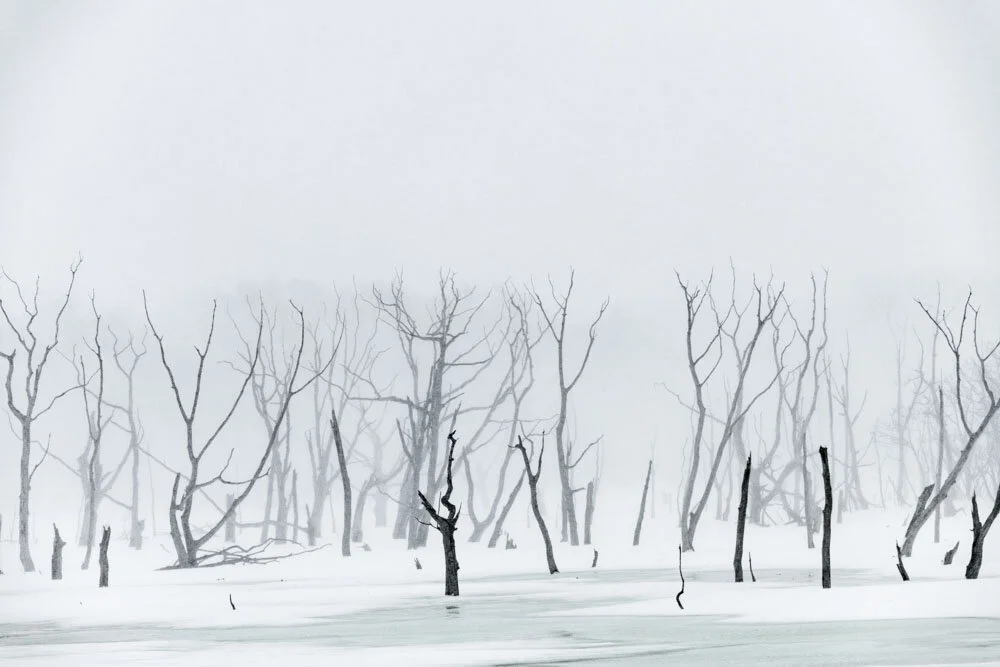 Alain Ernoult - Hokkaido