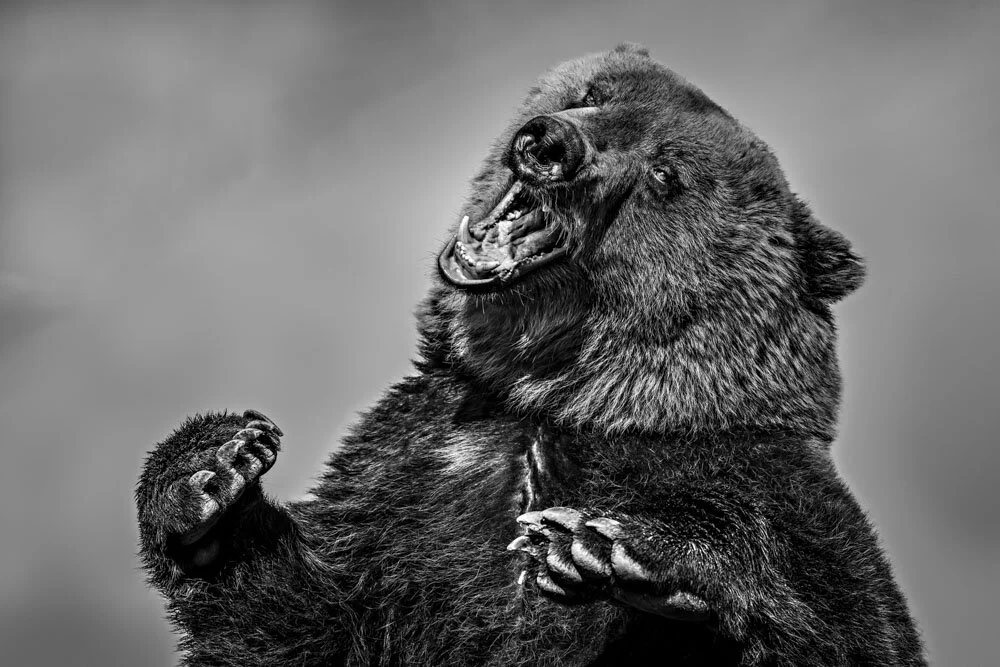 Alain Ernoult - Scream