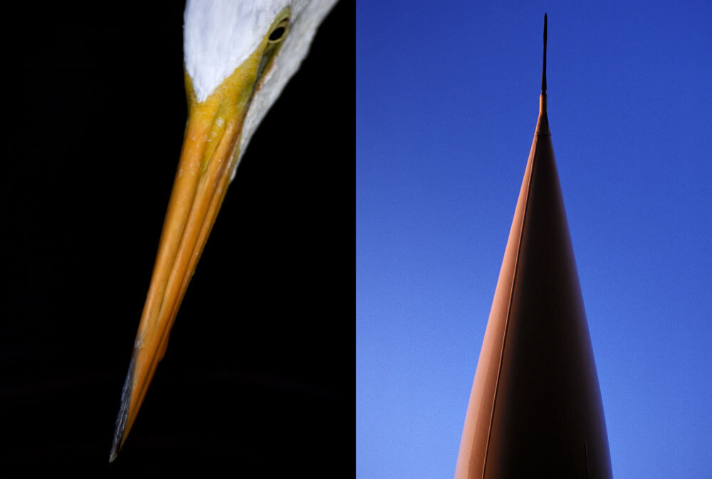 Alain Ernoult - Nez à nez