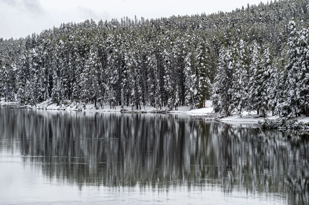 Alain Ernoult - Yellowstone