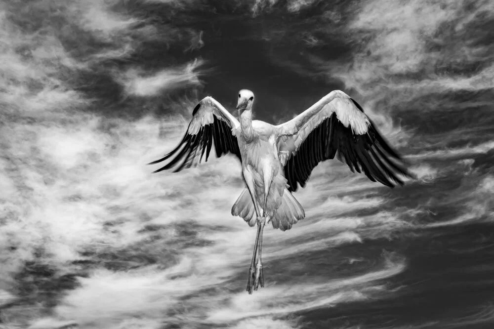 Alain Ernoult - Choreography