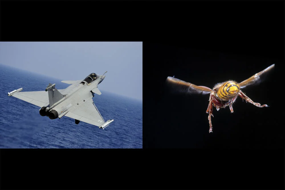 Alain Ernoult - Le rafale et le frelon