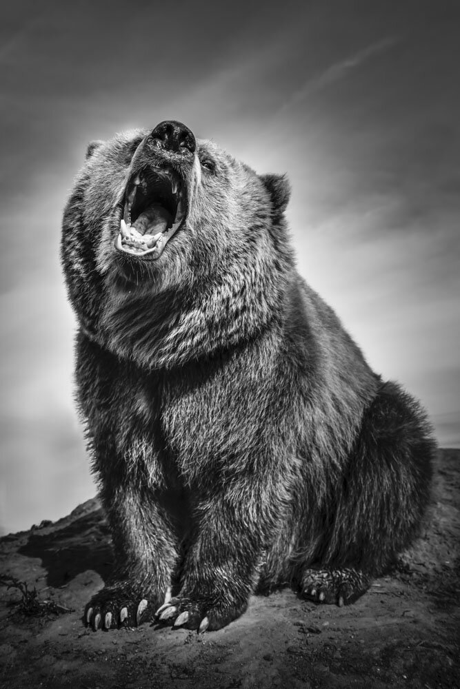 Alain Ernoult - Savage power