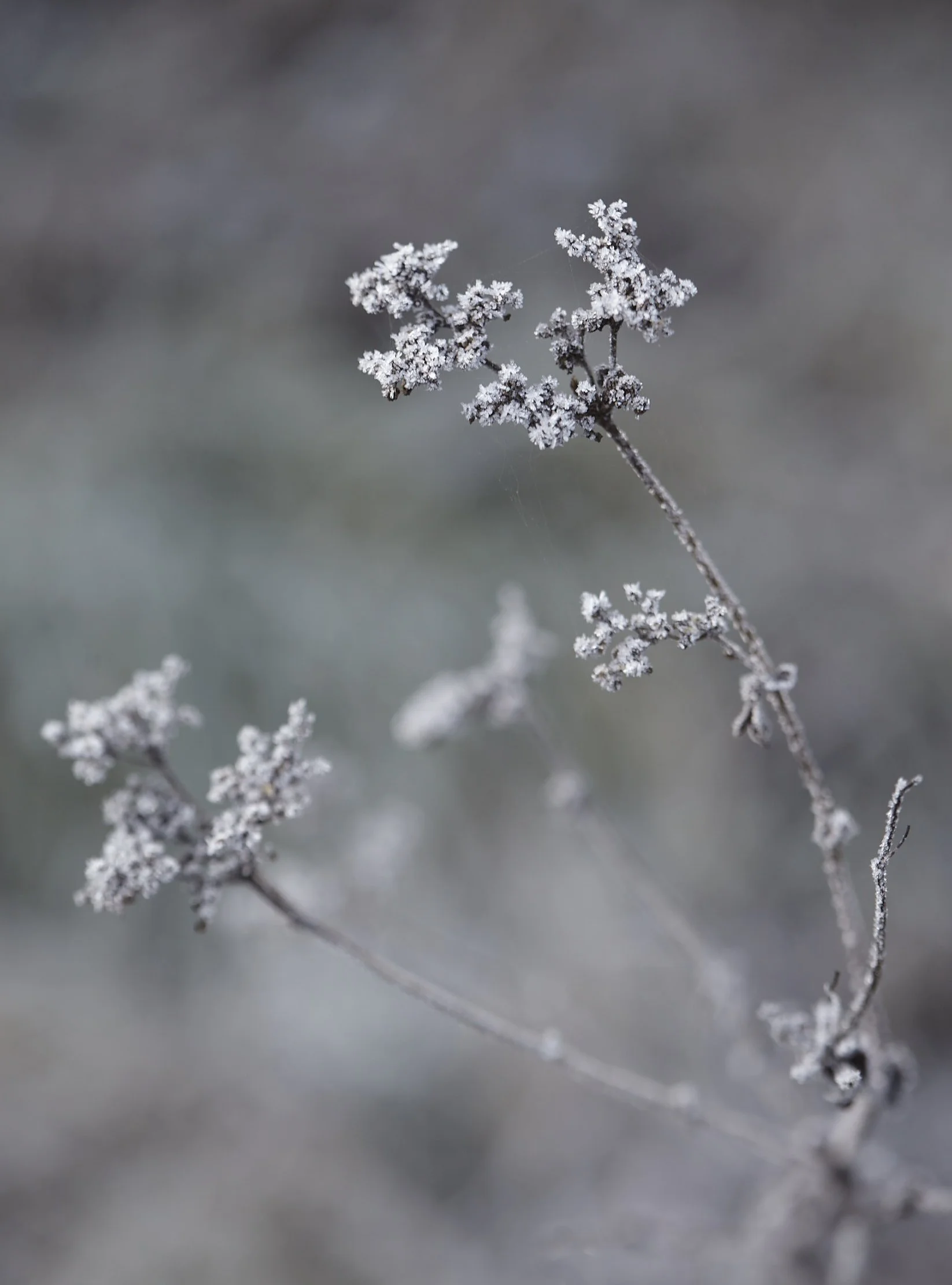 02.06.23_WinterWellness_D1_344 2.jpg