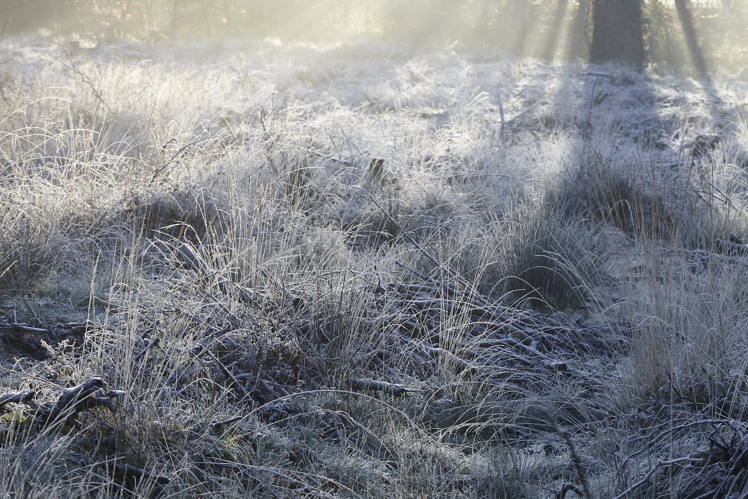 02.06.23_WinterWellness_D1_286 (1).jpg