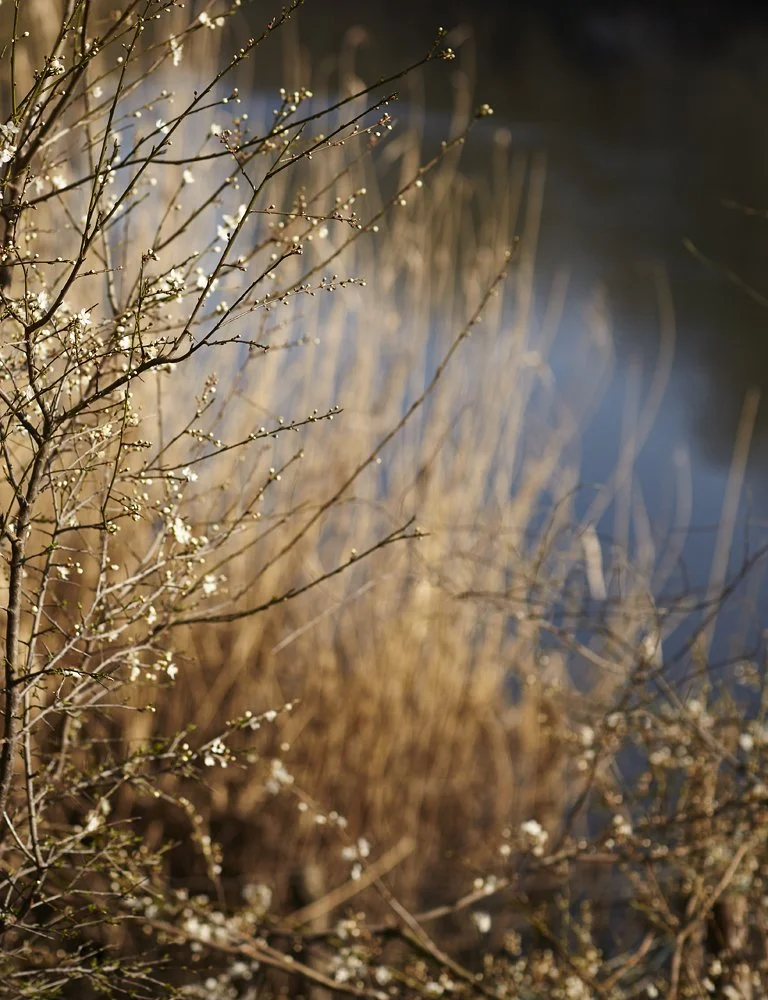 Unprocessed_location_147.jpg