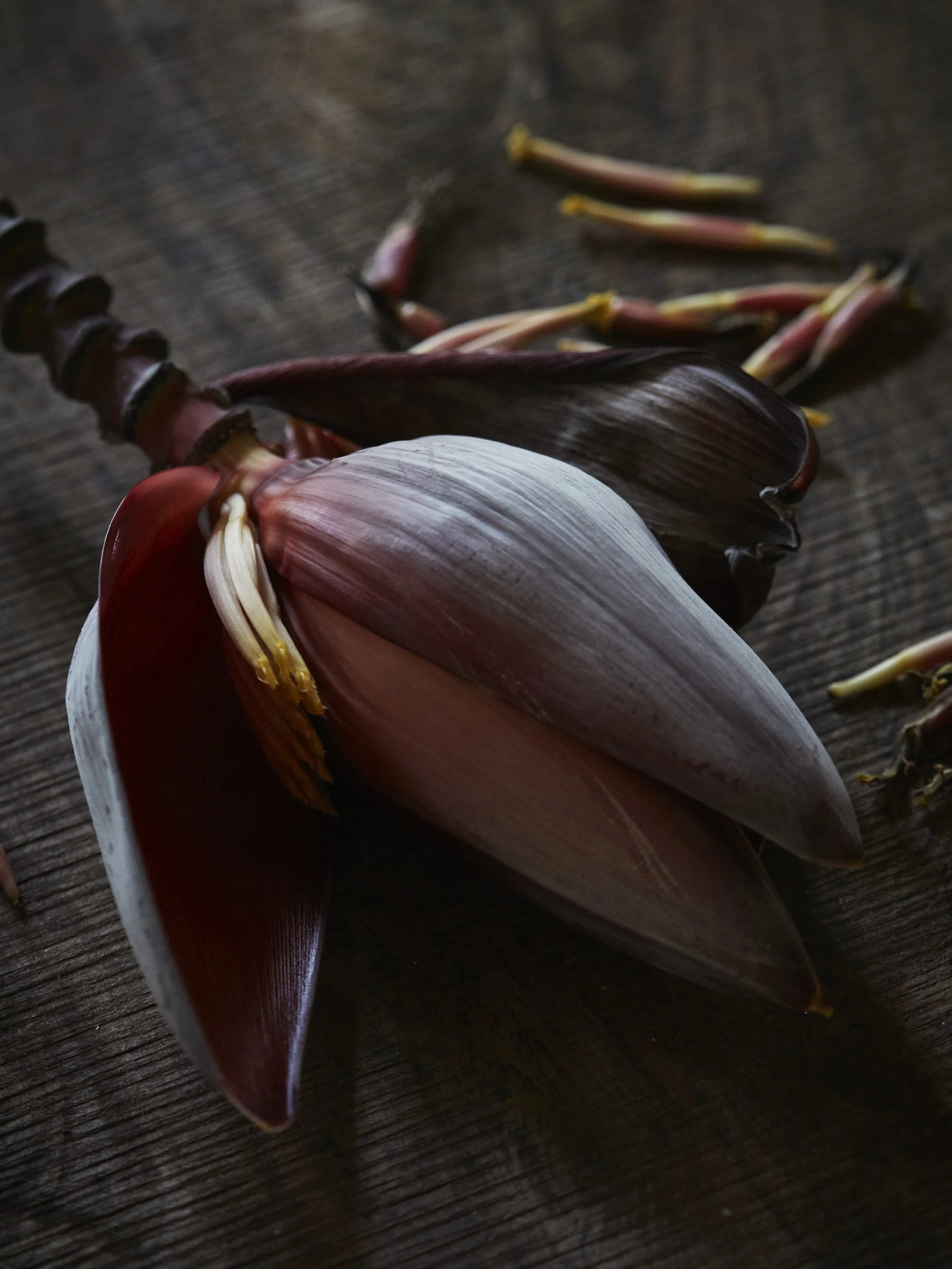 Coco Hill ~ Barbados