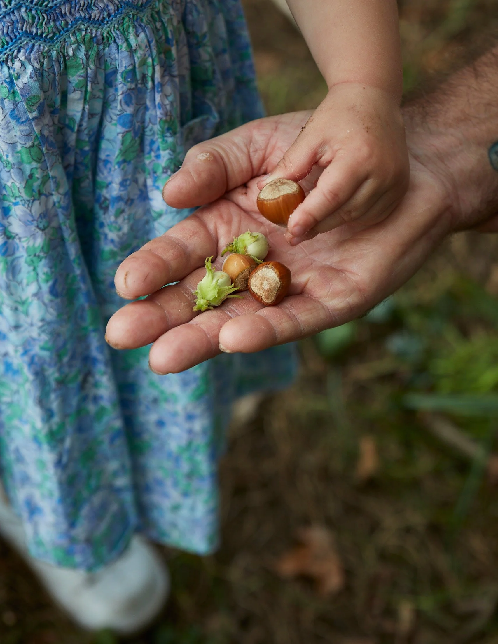 Brittany ~ Welbeck Publishing