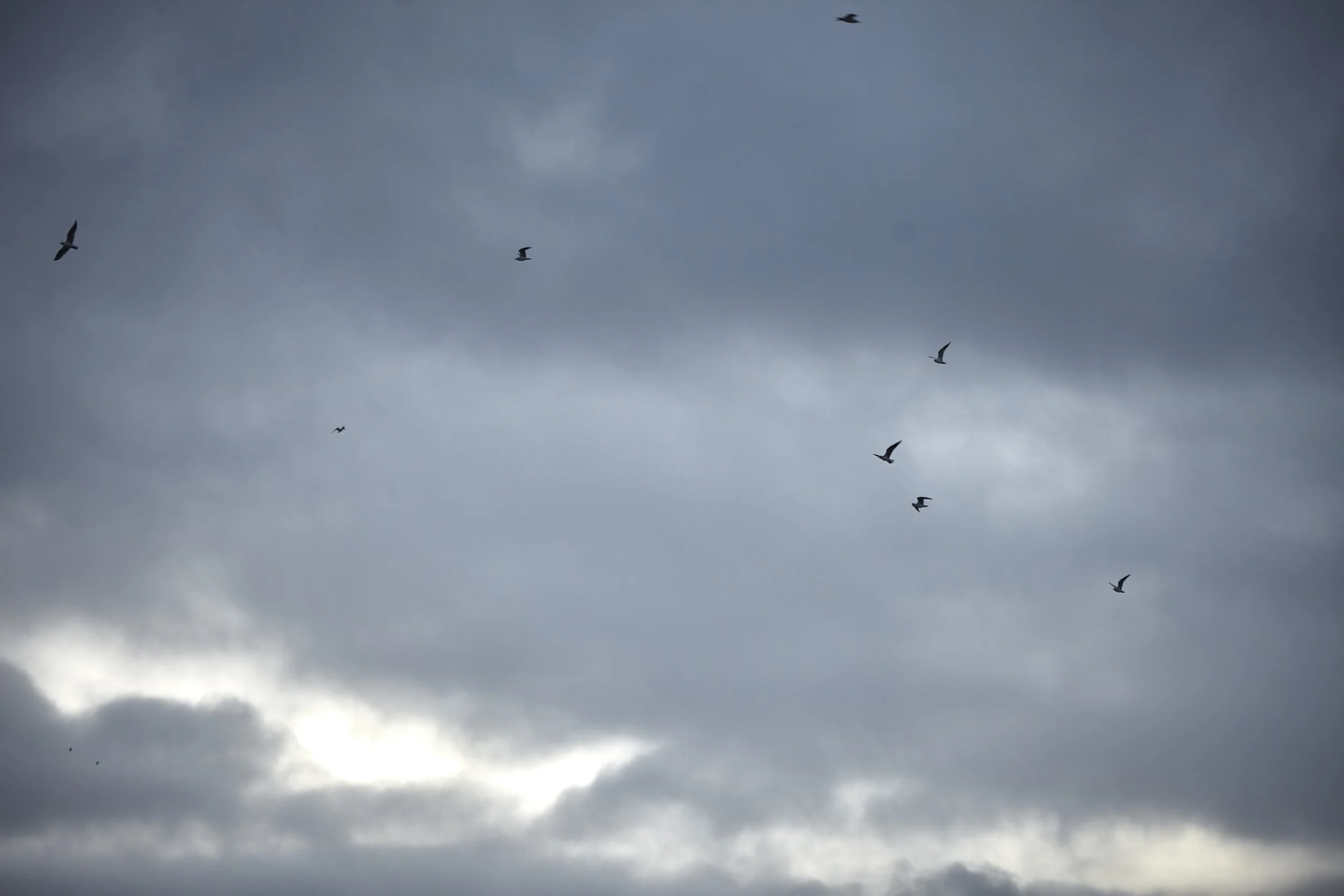 02.06.23_WinterWellness_D2_063 (1).jpg