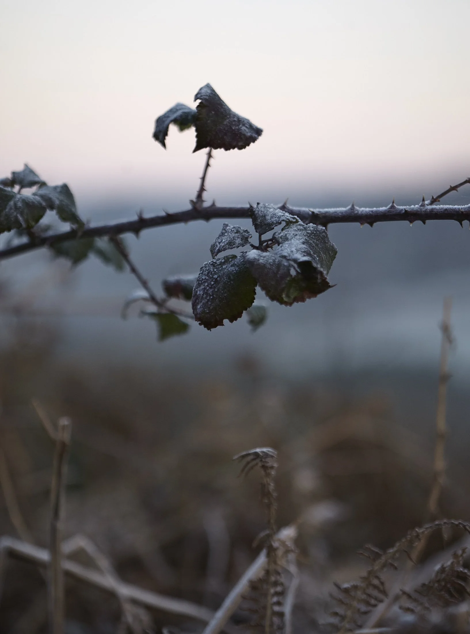 02.06.23_WinterWellness_D1_040 (1).jpg