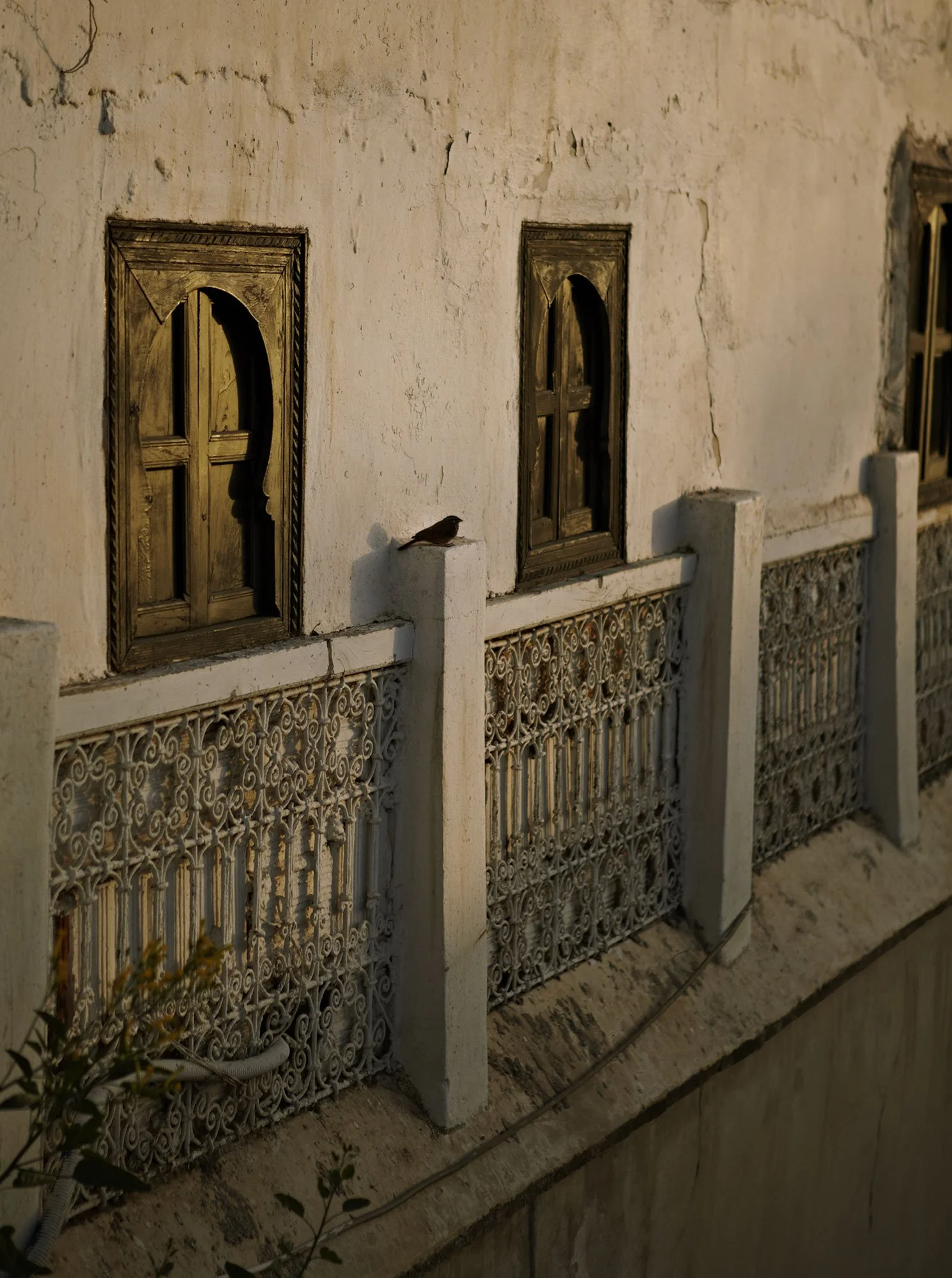 Morocco ~ The Telegraph Magazine