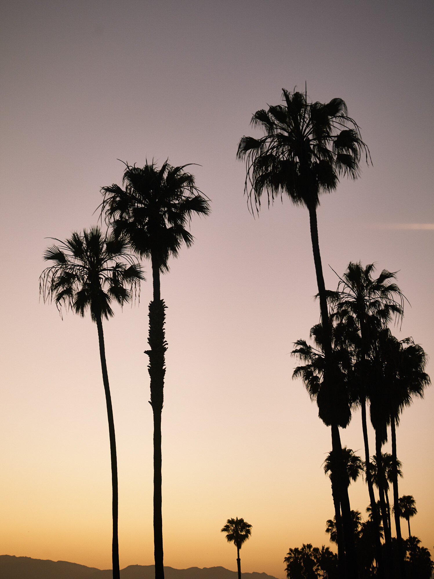California ~ Hardie Grant Books