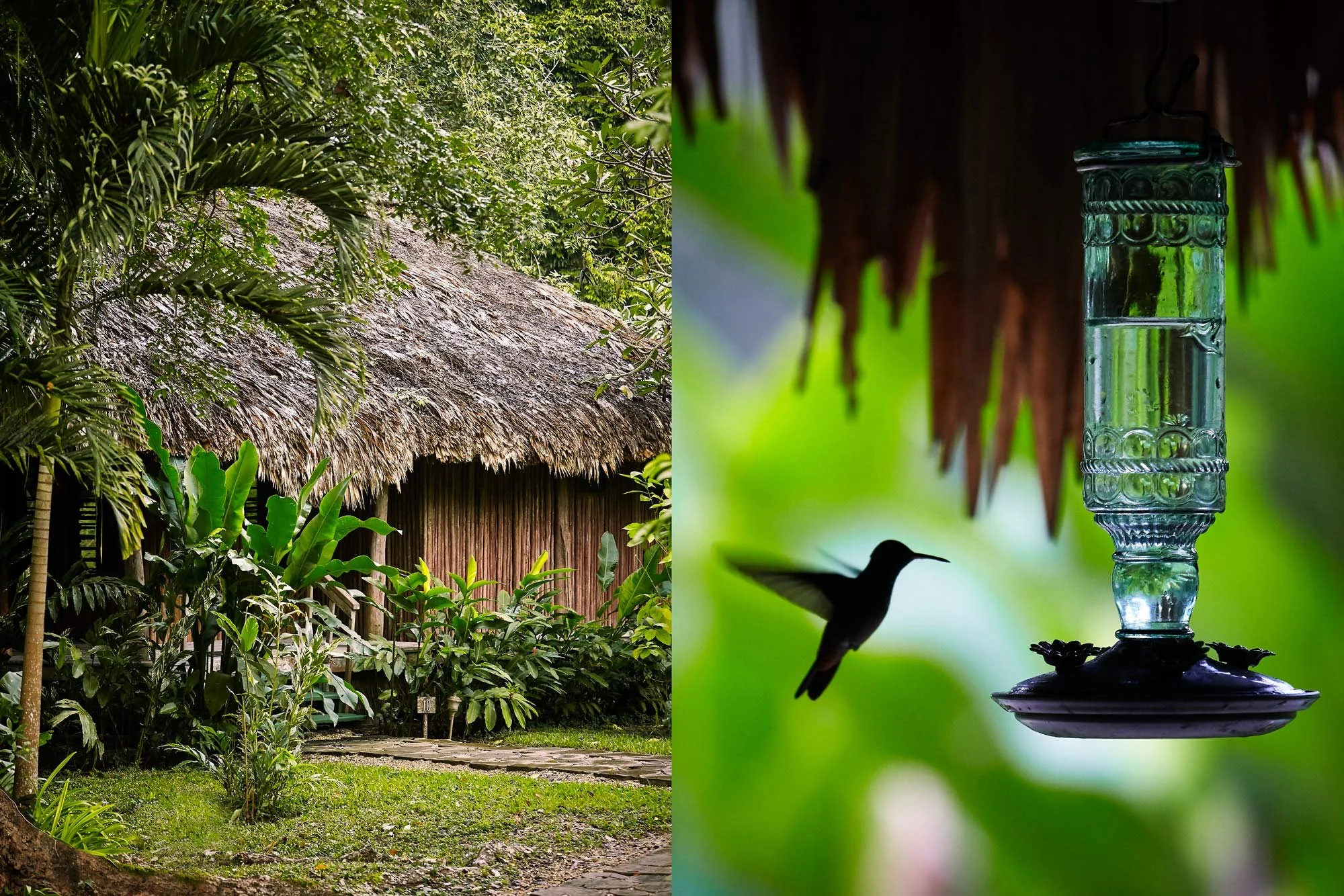 Belize ~ Food & Travel Magazine